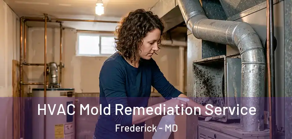  HVAC Mold Remediation Service Frederick - MD